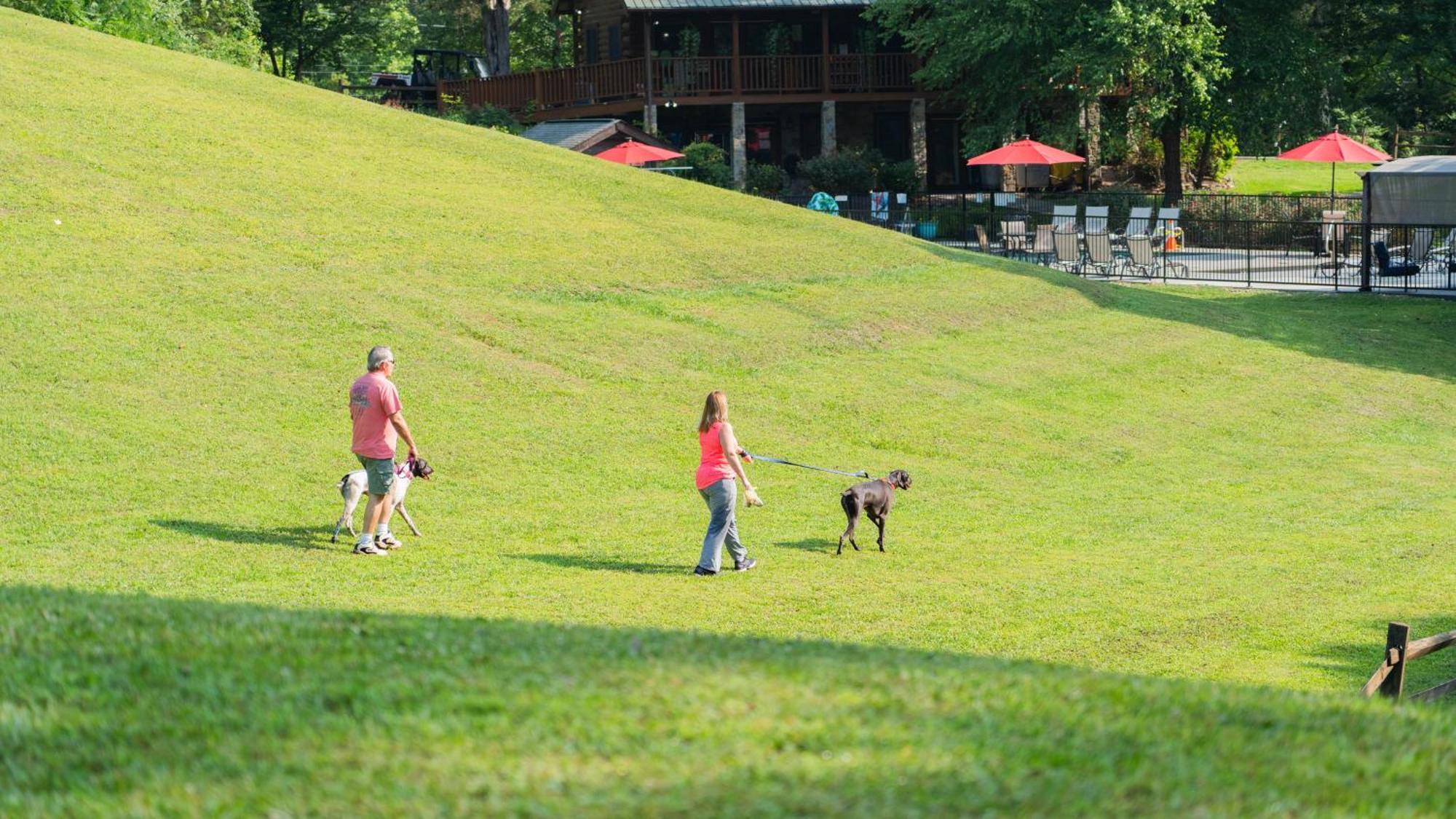 Eagle'S Ridge Villa Sevierville Luaran gambar